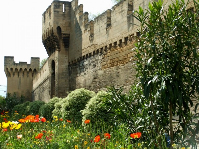 avignon france old town