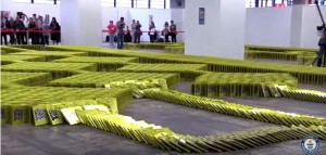 guinness world record, most books toppled like dominoes, frankfurt book show