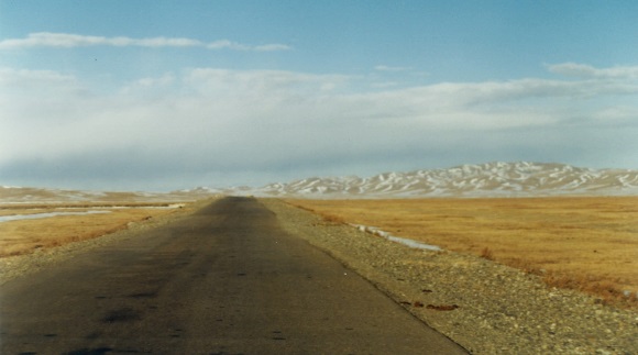 open road into the horizon in Gobi desert, Mongolia book