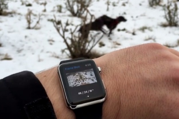 gopro camera app on apple watch