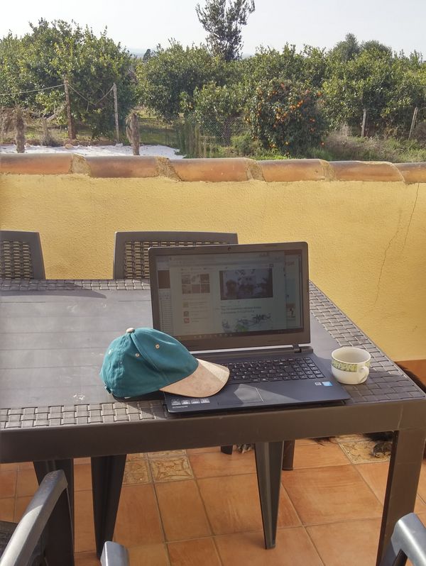 digital nomad working at a terrace near fruit farms of Murcia
