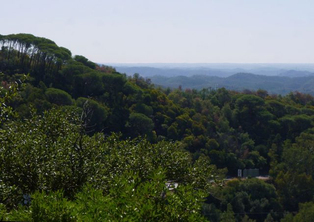 Monchique mountain in Algarve, Portugal, Europe