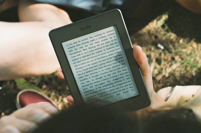 The Kindle in action