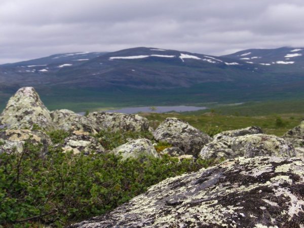 Finland designated the best wildlife travel destination 2019