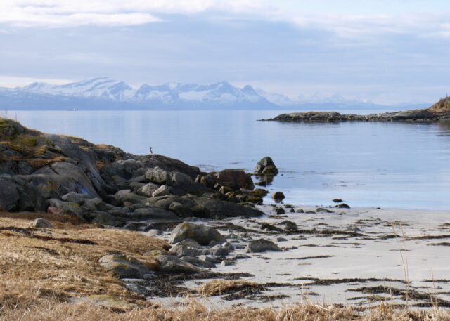 Lofoten Islands in winter/spring time