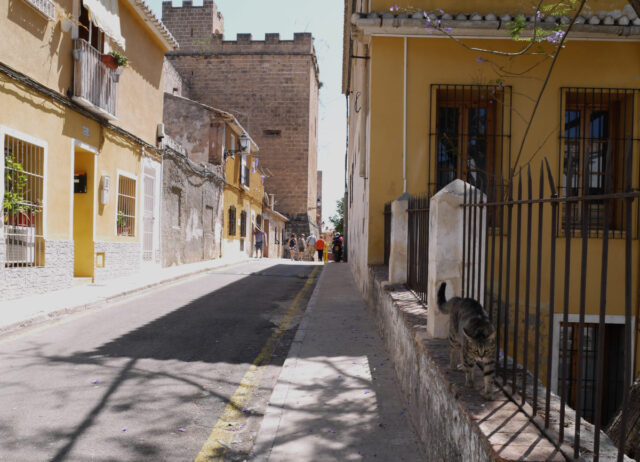 denia old town and castle wall