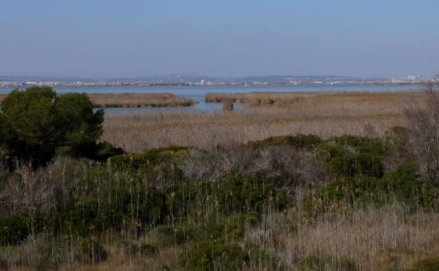 albufera, valencia, spain