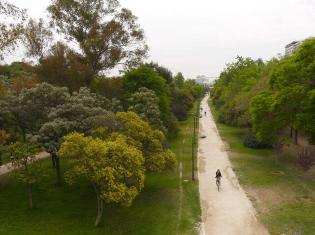 turia park, valencia, spain