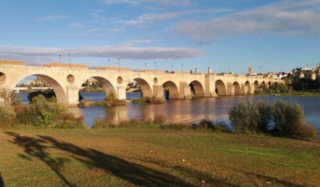 Badajoz bridge, puente de palmas