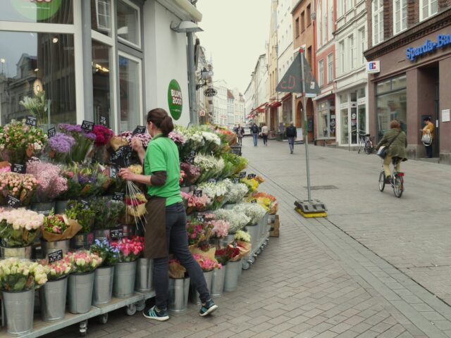 wismar, north germany, hanseatic town. photo by arihak.